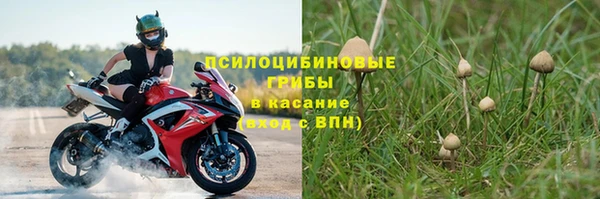 2c-b Михайлов