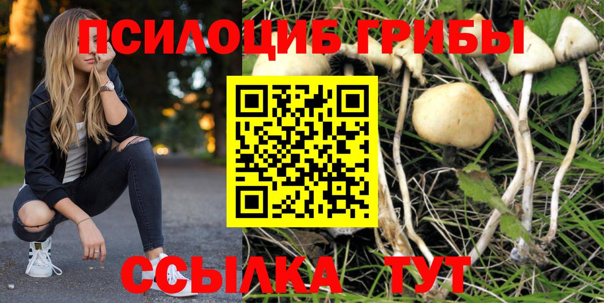 Псилоцибиновые грибы GOLDEN TEACHER  Вход с VPN  наркота  Дзержинский 