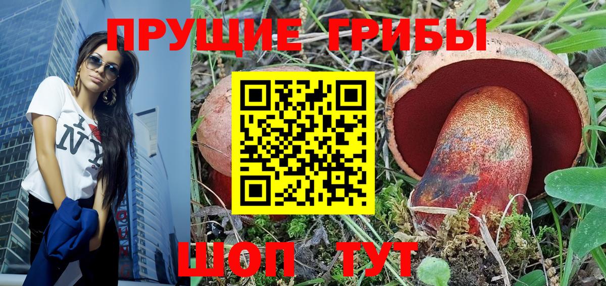 Псилоцибиновые грибы прущие грибы Дзержинский