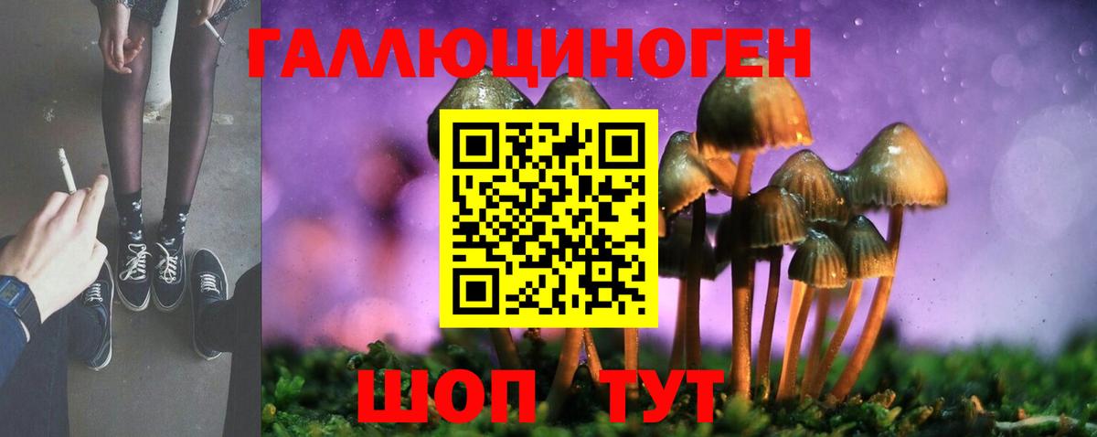 Дзержинский  Галлюциногенные грибы GOLDEN TEACHER  Вход с VPN 