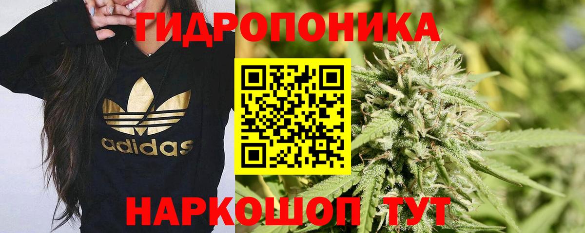 Шишки марихуана конопля Дзержинский